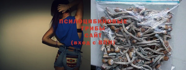 MDMA Богородицк