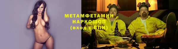 стафф Богданович
