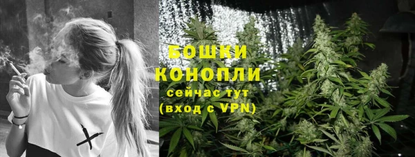 спайс Богородск