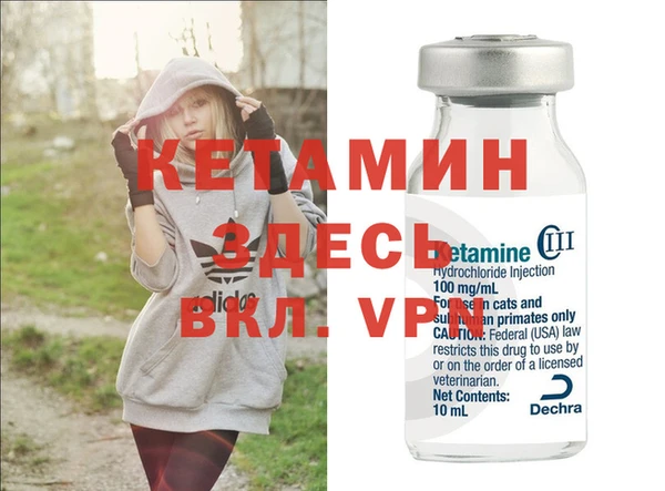 стафф Богданович