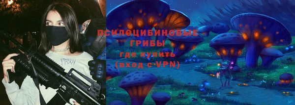 стафф Богданович